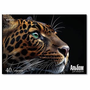 {{photo.Alt || photo.Description || 'Альбом для акварели А4, 40 л., бумага 200 г/м2, склейка, обложка картон, BRAUBERG, "Леопард", 107130'}}
