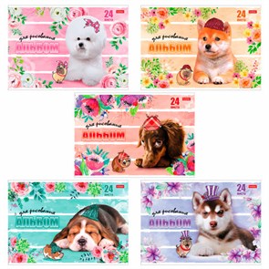 {{photo.Alt || photo.Description || 'Альбом для рисования, А4, 24 листа, скоба, обложка картон, HATBER, 205х290 мм, "Любимцы", 004051, 24А4В'}}