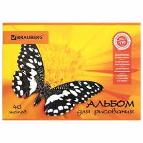 {{photo.Alt || photo.Description || 'Альбом для рисования, А4, 40 листов, скоба, выборочный лак, BRAUBERG, 202х285 мм, "Летняя феерия" (1 вид), 103434'}}