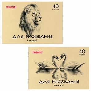 {{photo.Alt || photo.Description || 'Блокнот для рисования, А4, 40 л., обложка офсет, ПИФАГОР, 200х285 мм, "Лебеди/Лев", 126962'}}