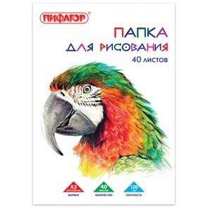 {{photo.Alt || photo.Description || 'Папка для рисования БОЛЬШОГО ФОРМАТА А3, 40 л., 120 г/м2, ПИФАГОР, 297х420 мм, "Попугай", 129219'}}