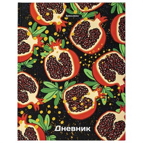 {{photo.Alt || photo.Description || 'Дневник 5-11 класс 48 л., твердый, BRAUBERG, блестки, с подсказом, "Гранаты", 106639'}}