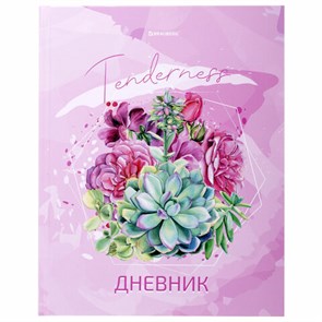{{photo.Alt || photo.Description || 'Дневник 5-11 класс 48 л., твердый, BRAUBERG, глянцевая ламинация, с подсказом, "Кактусы", 106628'}}