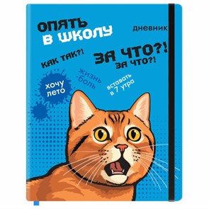 Дневник 1-11 класс 48 л., кожзам (твердая), печать, резинка, конверт, BRAUBERG, "Опять в школу", 107231 107231