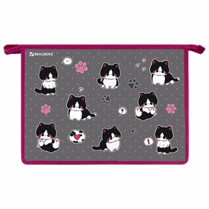 {{photo.Alt || photo.Description || 'Папка для труда на молнии BRAUBERG А4, 2 отделения, органайзер, "Cat patches", 272211'}}