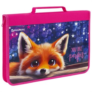 {{photo.Alt || photo.Description || 'Папка на молнии BRAUBERG А4 с ручкой, с органайзером, 1 отделение, "Cute fox", 272217'}}