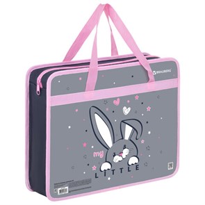 {{photo.Alt || photo.Description || 'Папка на молнии с ручками BRAUBERG А4, 1 отделение, пластик, 80 мм, "Curious bunny", 272164'}}
