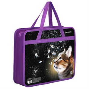 {{photo.Alt || photo.Description || 'Папка на молнии с ручками BRAUBERG А4, 1 отделение, пластик, 80 мм, "Dream cat", 270868'}}