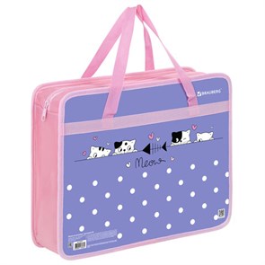 {{photo.Alt || photo.Description || 'Папка на молнии с ручками BRAUBERG А4, 1 отделение, пластик, 80 мм, "Meow", 272163'}}