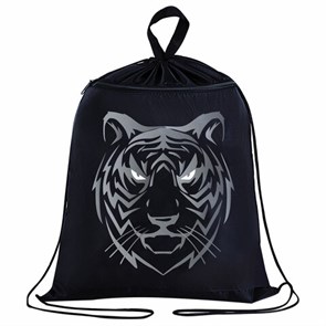{{photo.Alt || photo.Description || 'Мешок для обуви BRAUBERG, с петлёй, карман на молнии, 47х37 см, "Tiger", 271610'}}