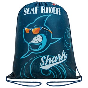 {{photo.Alt || photo.Description || 'Мешок для обуви ПИФАГОР, 1 отделение, 40х32 см, "Shark attack", 271604'}}