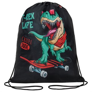 {{photo.Alt || photo.Description || 'Мешок для обуви ПИФАГОР, 1 отделение, 40х32 см, "T-Rex", 271606'}}