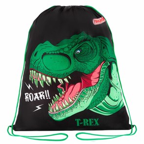 {{photo.Alt || photo.Description || 'Мешок для обуви ПИФАГОР, 1 отделение, 42х34 см, "Dino roar", 272387'}}