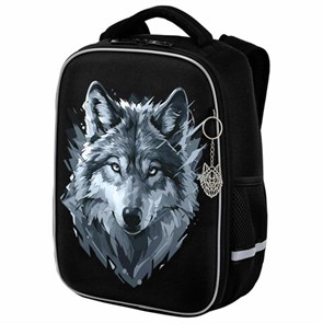 {{photo.Alt || photo.Description || 'Ранец BRAUBERG LIGHT, 1 отделение, с брелком, Gray wolf, 36х26х13 см, 273111'}}