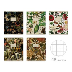 {{photo.Alt || photo.Description || 'Тетрадь А5 48 л. BRUNO VISCONTI скоба, клетка, Soft Touch, фольга, "FLORA" (5 видов), 7-48-1343'}}