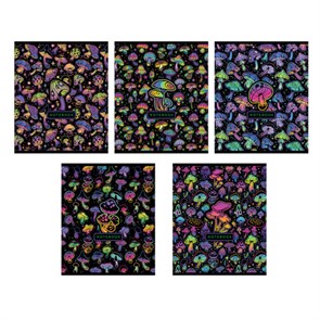 {{photo.Alt || photo.Description || 'Тетрадь А5 48 л., ПЗБМ скоба, клетка, фольга, TWIN-лак, "Грибочки" (микс в спайке), 23768'}}