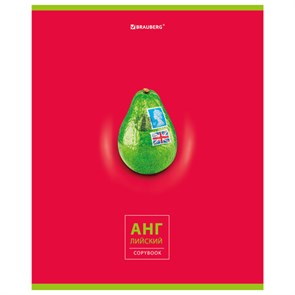 {{photo.Alt || photo.Description || 'Тетрадь предметная "AVOCADO" 48 л., глянцевый лак, АНГЛИЙСКИЙ ЯЗЫК, клетка, BRAUBERG, 404275'}}