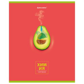 {{photo.Alt || photo.Description || 'Тетрадь предметная "AVOCADO" 48 л., глянцевый лак, ХИМИЯ, клетка, BRAUBERG, 404284'}}