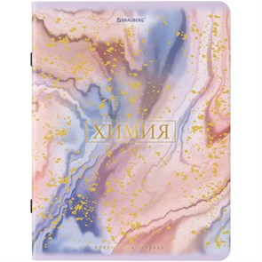 {{photo.Alt || photo.Description || 'Тетрадь предметная "PASTEL" 48 л., SoftTouch, фольга, ХИМИЯ, клетка, BRAUBERG, 404320'}}