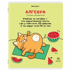 {{photo.Alt || photo.Description || 'Тетрадь предметная "КОТ-ЭНТУЗИАСТ" 48 л., TWIN-лак, АЛГЕБРА, клетка, подсказ, BRAUBERG, 404556'}}