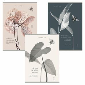 {{photo.Alt || photo.Description || 'Тетрадь А4 80 л. ПЗБМ, скоба, клетка, Soft Touch, брайль, "Латынь" (микс в спайке), 23430'}}