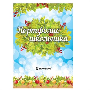 {{photo.Alt || photo.Description || 'Листы-вкладыши для портфолио школьника, 14 разделов, 16 листов, "Окружающий мир", BRAUBERG, 126896'}}