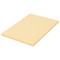 Бумага цветная BRAUBERG, А4, 80 г/м2, 100 л., пастель, оранжевая, для офисной техники, 112448 112448