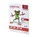 Бумага цветная CREATIVE color, А4, 80 г/м2, 100 л., (5 цветов х 20 л.), микс пастель, БПpr-100r 110499