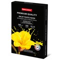 Фотобумага PREMIUM суперглянцевая, 10х15 см, 260 г/м2, односторонняя, 500 листов, BRAUBERG, 364000 364000