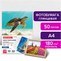 Фотобумага глянцевая, A4, 180 г/м2, односторонняя, 50 листов, BRAUBERG ORIGINAL, 363986 363986
