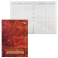 Книга учета доходов и расходов, 50 л., картон, на гребне, А4 (204х290 мм), 13с21-50 130171