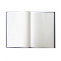 Книга учета 208 л., клетка, твердая, бумвинил, блок офсет, А4 (200х290 мм), BRAUBERG, 130184 130184