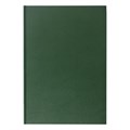 Книга учета 96 л., клетка, твердая, бумвинил, блок офсет, А4 (200х290 мм), BRAUBERG, зеленая, 130222 130222