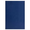 Книга учета 96 л., клетка, твердая, бумвинил, блок офсет, А4 (200х290 мм), ОФИСМАГ, 130177 130177