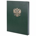 Книга учета 96 л., клетка, твердая, бумвинил, офсет, герб, А4 (200х290 мм), BRAUBERG, зеленая, 130277 130277