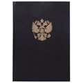 Книга учета 96 л., клетка, твердая, бумвинил, офсет, герб, А4 (200х290 мм), BRAUBERG, черная, 130275 130275