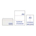 Конверты Е65 (110х220 мм), клей, 80 г/м2, КОМПЛЕКТ 1000 шт. 124392