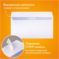 Конверты Е65 (110х220 мм), отрывная лента, Куда-Кому, внутренняя запечатка, КОМПЛЕКТ 100 шт., BRAUBERG, 112195 112195