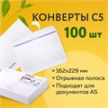 Конверты С5 (162х229 мм), отрывная лента, Куда-Кому, внутренняя запечатка, 80 г/м2, КОМПЛЕКТ 100 шт., BRAUBERG, 112188 112188