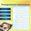 Этикет-пистолет двухстрочный, прямоугольная и волнистая лента 26x16 мм, 2х10 символов, BRAUBERG, 290438 290438