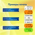 Этикет-пистолет двухстрочный, прямоугольная и волнистая лента 26x16 мм, 2х10 символов, BRAUBERG, 290438 290438