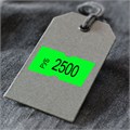 Этикет-лента 21х12 мм, прямоугольная, зеленая, комплект 5 рулонов по 600 шт., BRAUBERG, 123571 123571