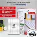 Этикетка самоклеящаяся 38,1х21,2 мм, 65 этикеток, белая, 70 г/м2, 100 листов, TANEX, сырье Финляндия, 114549, TW-2165 114549