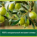 Мыло жидкое 300 мл, PALMOLIVE НАТУРЭЛЬ "Олива и увлажняющее молочко", дозатор, 1763, 8693495017633 609044