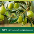 Мыло туалетное 90 г, PALMOLIVE НАТУРЭЛЬ "Олива и увлажняющее молочко", интенсивное увлажнение, 32766, 8693495032766 609048
