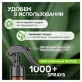 Освежитель воздуха 380 мл SYNERGETIC "Имбирь и лемонграсс", биоразлагаемый, 900004 609260