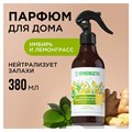 Освежитель воздуха 380 мл SYNERGETIC "Имбирь и лемонграсс", биоразлагаемый, 900004 609260