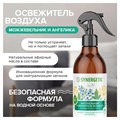 Освежитель воздуха 380 мл SYNERGETIC "Ягоды можжевельника и ангелика", биоразлагаемый, 900005 609261