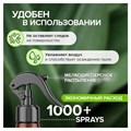 Освежитель воздуха 380 мл SYNERGETIC "Ягоды можжевельника и ангелика", биоразлагаемый, 900005 609261