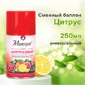 Сменный баллон 250 мл МЕЛОДИЯ "Цитрусовый", для автоматических освежителей, универсальный, 605229 605229